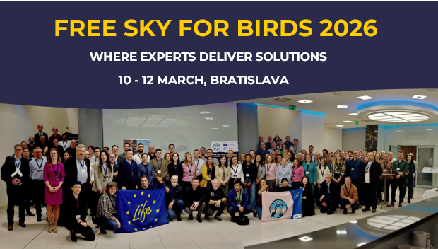 FREE SKY FOR BIRDS 2026 CONFERENCE: BIRD CONSERVATION EXPERTS FROM AROUND THE WORLD GATHERED IN BRATISLAVA